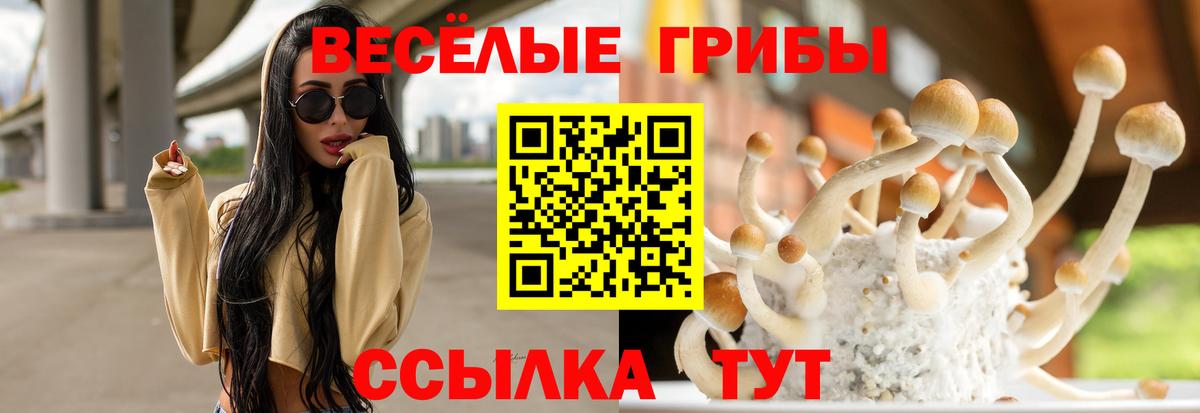 Ростов-на-Дону  Галлюциногенные грибы GOLDEN TEACHER  наркота  Вход с VPN 